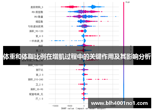 体重和体脂比例在增肌过程中的关键作用及其影响分析